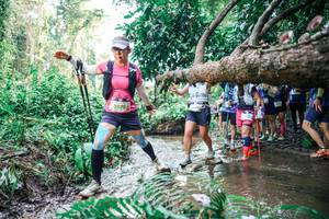 BIB: 
                            <button type="button" onclick="openModal(25475024)" class="btn btn-primary btn-sm float-right btn-popup" data-toggle="modal" data-target=".modal-high-quality">
                        <i class="fas fa-shopping-cart"></i> Add to Cart
                    </button>
                                            <button type="button" onclick="isThisMe(25475024, true)" class="btn btn-success btn-sm float-right btn-popup btn-isme hidden" data-toggle="tooltip" data-placement="bottom" title="นี่คือรูปของคุณใช่ไหม คลิกที่นี่เพื่อเอาเข้าอัลบั้ม">
                        <i class="fas fa-plus"></i> Add to album
                    </button>
                    <button type="button" onclick="isThisMe(25475024, false)" class="btn btn-warning btn-sm float-right btn-popup btn-isnotme hidden">
                        <i class="fas fa-ban"></i> Remove from album
                    </button>